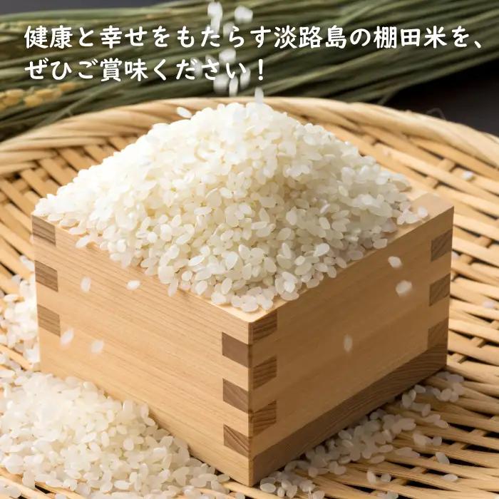 健幸農園の棚田米 5kg 白米