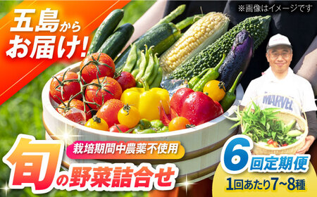 【全6回定期便】有機農法・旬の野菜詰め合わせ 五島市/ぷらっと農園 [PDS008]