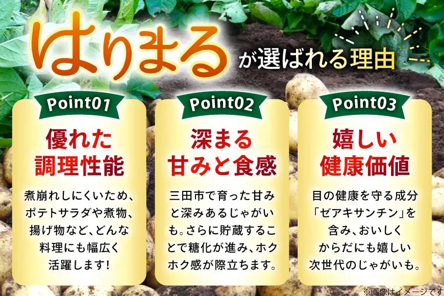 じゃがいも はりまる 1kg 【期間限定発送】[SSSファーム 兵庫県 三田市 3d28bed520003]