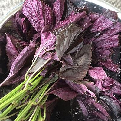 ふるさと納税 芦屋町 香り高く旨みたっぷり!赤しそふりかけ 68g×3袋(うまみ調味料無添加) |  | 02