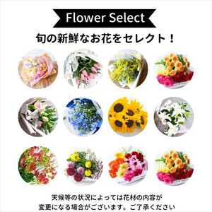 【定期便 12か月】季節のお花 定期便（12か月）【 花 花束フラワーギフト 】