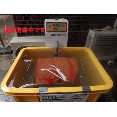 ふるさと納税 茂原市 【令和7年産】茂原市産こしひかり玄米10kg |  | 01