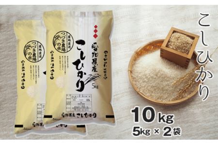 【白米】 令和7年産 つづき農場のコシヒカリ 10kg No.091