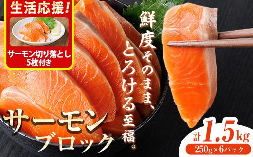
                  生活応援 サーモン切り落とし5枚付き！生食用 サーモン ブロック(計1.5kg・250g×6P) 鮭 小分け 真空 パック 冷凍 刺身 シャケ サケ 魚 魚介 【AW-101】【丸正水産】
                