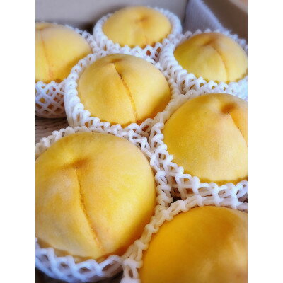 【ふるさと納税】【先行予約★2026年9月中旬より順次発送予定】岡山県産　黄金桃(2kg箱)【配送不可地域：離島・北海道・沖縄県】【1667464】