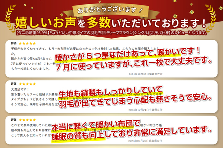 羽毛布団 【ダニ忌避率95.9％】ちょうどいい中厚タイプの羽毛布団 ディープブラウン(シングル)【ホテル仕様】 合い掛け布団