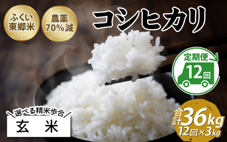 【先行予約】【定期便12ヶ月連続】【玄米】令和7年産 ふくい東郷米 特別栽培米 農薬70％減 コシヒカリ 3kg×12ヶ月 合計36kg [H-020011_02]