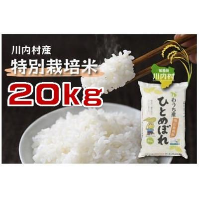 ふるさと納税 川内村 令和7年かわうち産 特別栽培米 ひとめぼれ 20kg