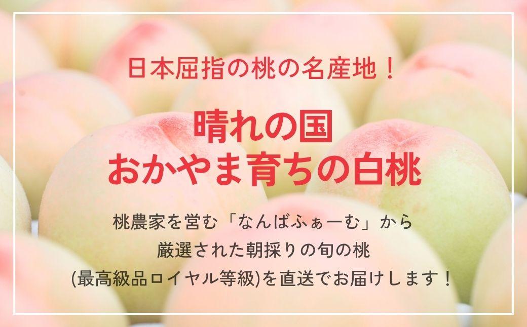 ＜数量限定＞［なんばふぁーむ］岡山県産 旬の桃 1.5kg（4～6玉）[ギフト用]【2026年発送】039-a003
