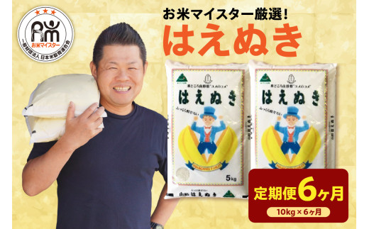【先行予約】6ヶ月定期便 令和8年産 はえぬき 10kg ( 5kg × 2袋 ) × 6回 計60kg 2026年産 山形県 米沢市産 精米 米 白米 お米 ブランド米 お米マイスター 厳選米 山形県 米沢市 送料無料