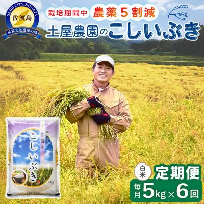 ふるさと納税 佐渡市 【毎月定期便】佐渡島産こしいぶき 白米5Kg 土屋農園 農家直送 栽培期間中農薬5割減 全6回