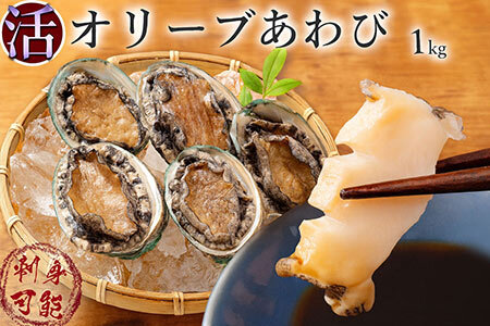【配送不可地域:北海道・東北・沖縄県・離島】オリーブあわび 約1kg(10～12個程度)