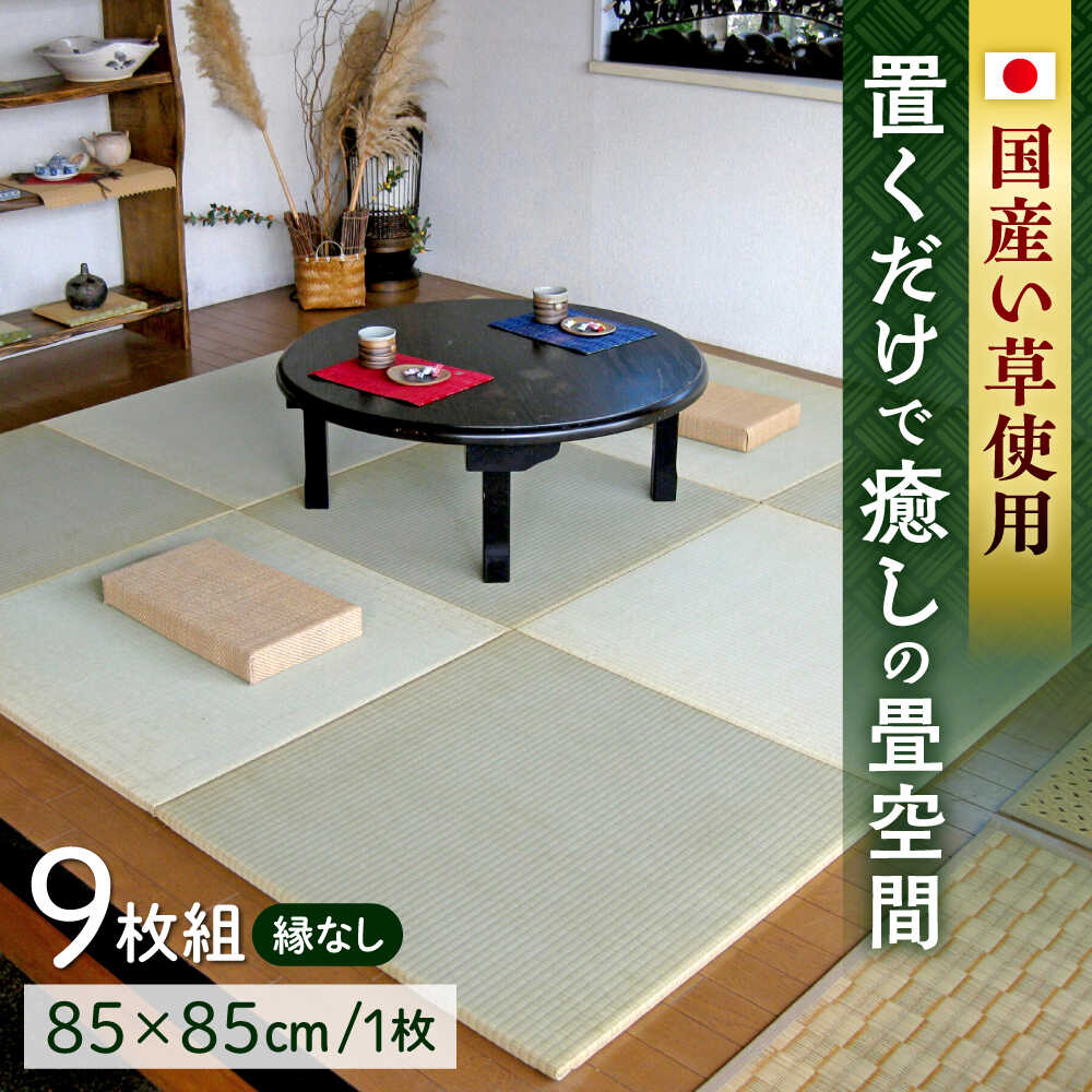 【ふるさと納税】一畳屋 たたみっこ 縁無し 9枚セット　【一般社団法人クラッシーノこうし】[AYAB002] 畳 たたみ 置き畳 マット 和室 い草 国産 熊本 熊本県 熊本県産 合志 合志市 送料無料