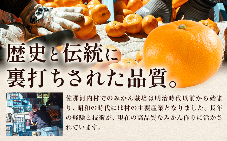 訳あり 熟成みかん 10kg 《1月上旬-3月上旬頃出荷》徳島 柑橘 ミカン 蜜柑 フルーツ 青果物 大容量 徳島県 佐那河内村---sanagouchi_lcl_42_10kg---
