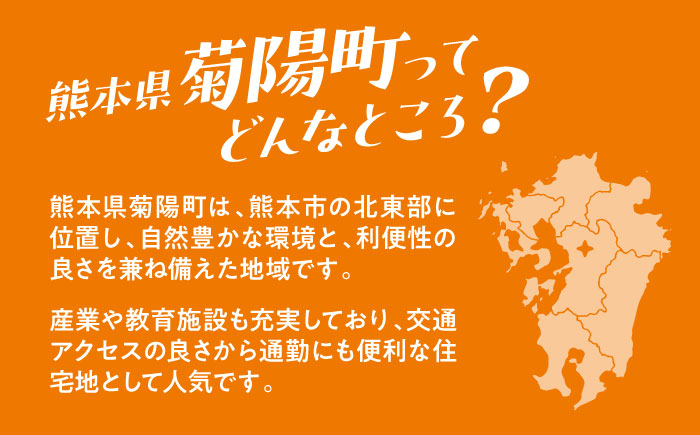 【応援寄附金】熊本県菊陽町 1口 1万円 返礼品なしのご寄附　【菊陽町】 [BHZZ003]