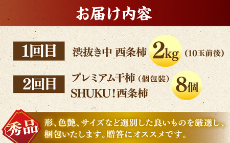 フルーツ 【先行予約】【10個限定】【全2回定期便】柿のご褒美セット！ 合わせ柿 2kg 干柿SHUKU8玉  島根県松江市/マルカミ農縁株式会社 [ALCM018] フルーツ フルーツ