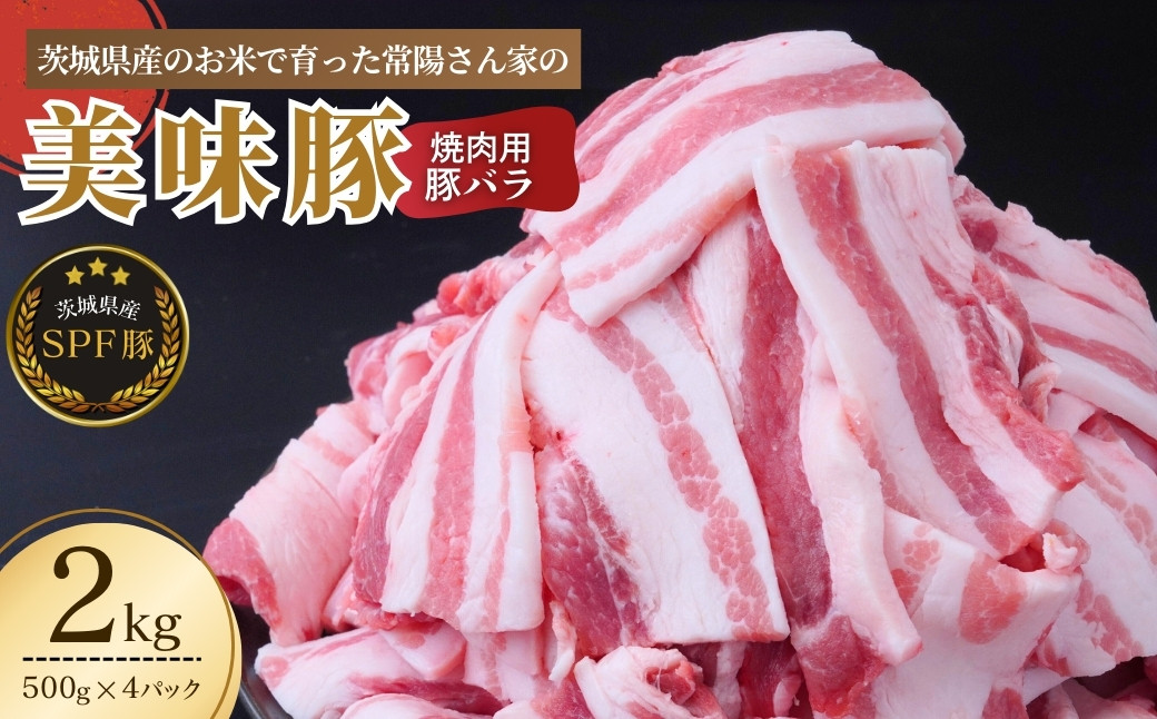 
                  茨城県産のお米を食べて育った常陽さん家の美味豚(SPF豚) 豚バラ 焼肉用 2kg | 国産 バラ バラ肉 ロース 豚 SPF SPF豚 豚肉 焼肉 バーベキュー しゃぶしゃぶ 肉 にく 肉類 ポーク こだわり やわらか お米育ち 安心 安全 人気 お取り寄せグルメ お取り寄せ グルメ おすすめ 豚丼 照り焼 茨城県 龍ケ崎市
                