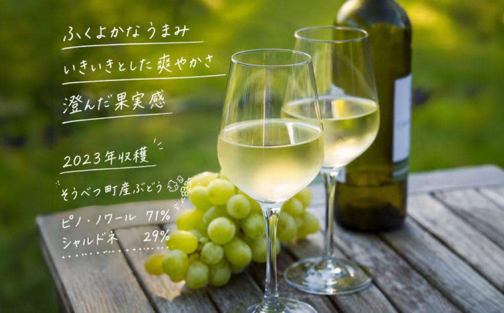 昭和新山ワイン　YAMANOBE BLANC 2023(ヤマノベブラン）白ワイン 辛口 壮瞥町産ぶどう100%  SBTQ012