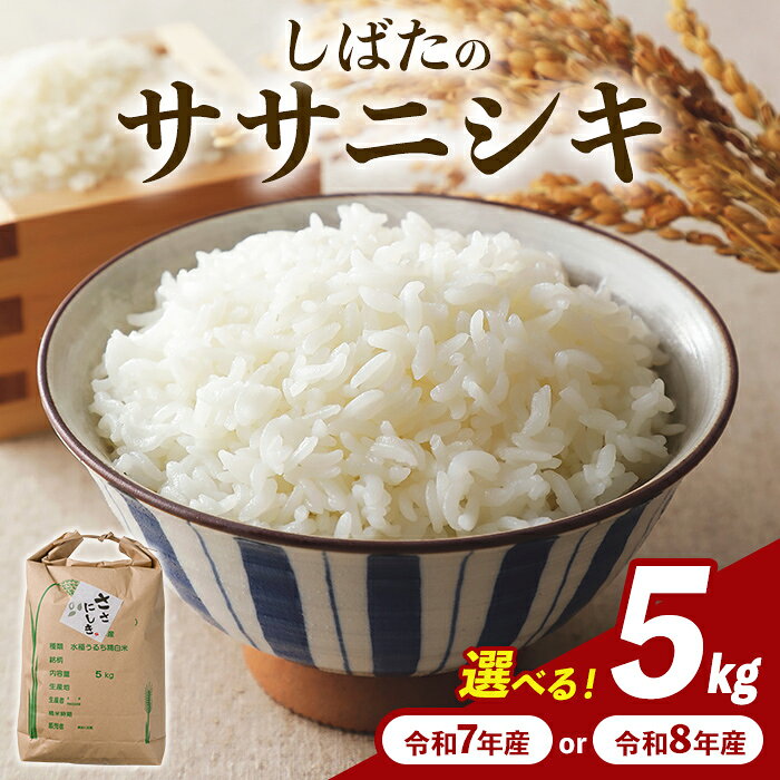 【ふるさと納税】＜令和8年産 5kg・先行予約受付中！＞しばたのササニシキ 精米 5kg 選べる年産 令和7年産・令和8年産 柴田町産 お米 おこめ 米 コメ 白米 ご飯 ごはん おにぎり お弁当 ささにしき 新米【しばたの未来株式会社】sh138・sh198