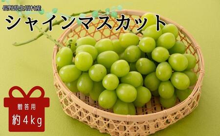 【2026年発送 先行予約】 贈答用 シャインマスカット約4kg 9~13房 シャインマスカット