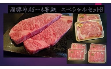 【ふるさと納税】 飛騨牛A5~4等級 スペシャルセットB M-1/A-24