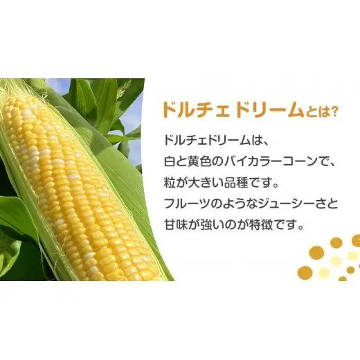 【 7月中旬発送開始 】 嬬恋産 とうもろこし ドルチェドリーム 約2kg（4本） [AT001tu]