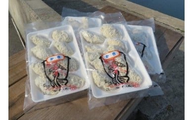 しまなみ海道大三島手造り牡蠣フライ（冷凍）８個入り　４セット（愛媛県漁業協同組合大三島支所） [VB00350]