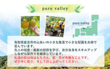 【先行予約】【令和8年産】家庭用 二十世紀梨 5kg（10～16玉） 梨 果物 フルーツ 和梨  20世紀梨