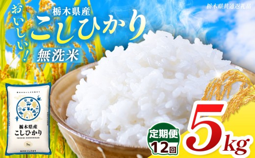 【栃木県共通返礼品】【先行予約】【令和8年度産】【定期12回】 訳あり 栃木県産 コシヒカリ  無洗米 5kg | 定期便 選べる ふるさと 納税 コシヒカリ とちぎの星 お米 精米 無洗米 ごはん ご飯 主食 日本米 kome 栃木県 共通返礼品 那珂川町 送料無料