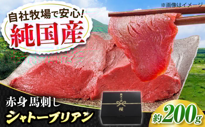 
            『純国産』熊本の味 赤身 馬刺し シャトーブリアン 約200g チルド 冷蔵 ブロック 馬刺し ばさし【有限会社 九州食肉産業】 [AYCN057]
          
