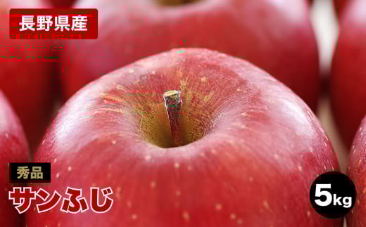 太陽の光をたっぷりと浴びた 長野県産りんご(サンふじ)約5kg 秀品＜2025年11月下旬～12月中旬発送＞ | 果物 くだもの フルーツ りんご リンゴ 林檎 長野県 信州 南信州 飯田市
