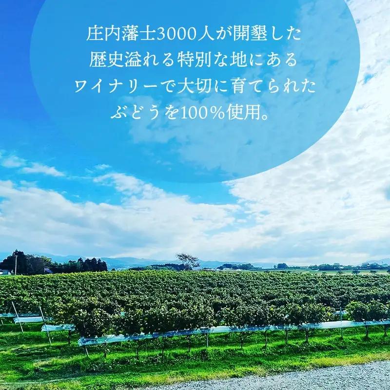 白ワイン　Vestito Cielo 2025　750ml×1本　株式会社エルサン　国産 日本ワイン