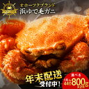 【ふるさと納税】 カニ 年内配送 ☆北海道産 毛ガニ 選べる約440g～800g 2尾セット 計880g～1.6kg かに カニ 年内配送 蟹 毛蟹 冷凍 北海道産 浜頓別町北海道ふるさと納税 ふるさと納税 北海道 浜頓別 通販 贈答品 贈り物