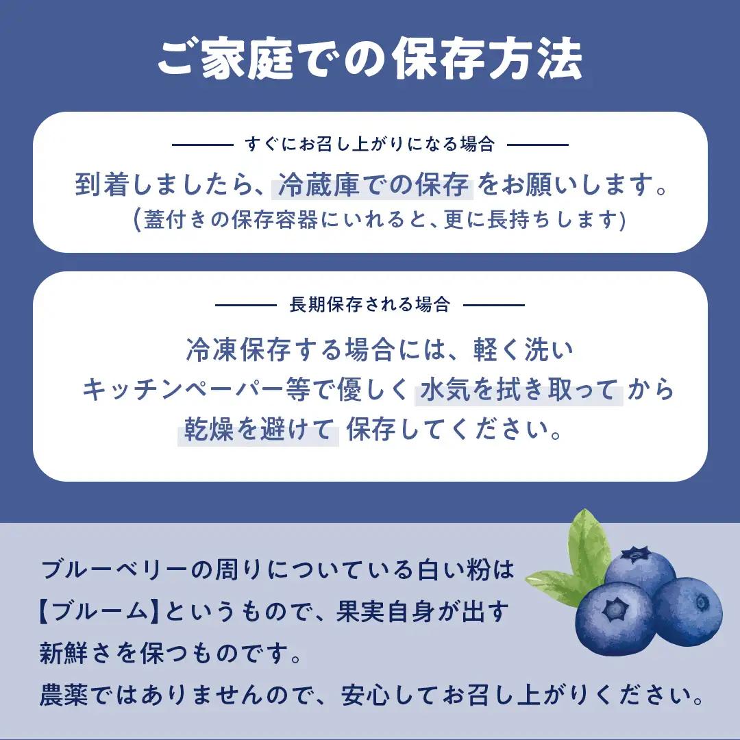 茨城県産 生 ブルーベリー 合計 500g (250g×2P) 多品種 果実 果物 くだもの フルーツ おやつ ブルーベリー ベリー ジャム 小分け[DZ001sa]