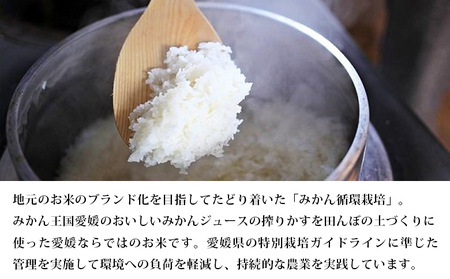 令和５年産　田力米（にこまる5kg）