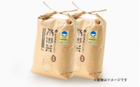 【令和6年産新米】〈6回定期便〉特別栽培米コシヒカリ「南郷米」玄米10kg（5kg×2袋）［2024年9月中旬以降順次発送］ 有限会社ファームみなみの郷