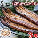 【ふるさと納税】藤うなぎ かば焼き（3尾）国産 うなぎ 手焼き 炭火焼 蒲焼 送料無料 宮崎県 西都市