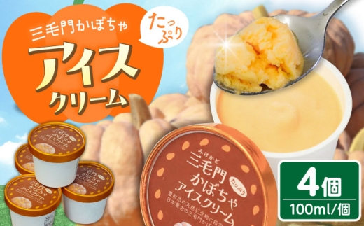 三毛門 かぼちゃ アイスクリーム 100ml×4個《豊前市》【三毛門南瓜保存会】[VDF003] アイス 夏 冷たい ギフト スイーツ プレゼント あいす あいすくりーむ ジェラート かっぷあいす