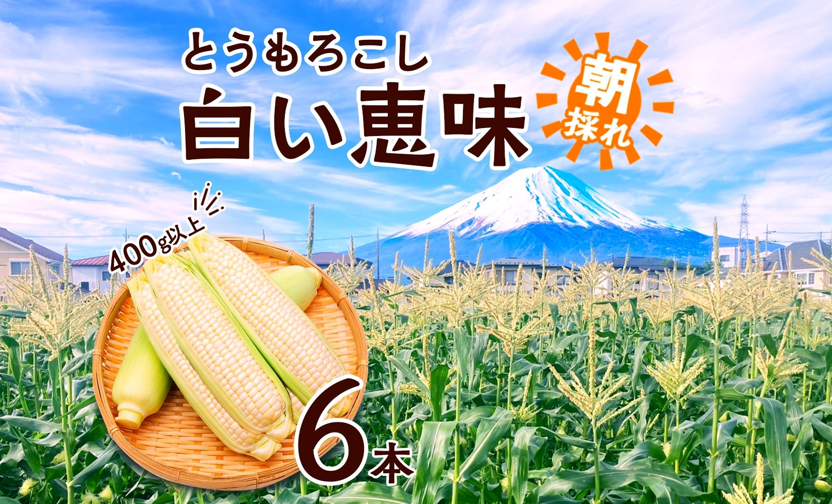 【2026年先行予約】とうもろこし 白い恵味 ホワイト 400g以上×6本 計2.4kg以上 高糖度 トウモロコシ スイートコーン 玉蜀黍 白 夏野菜 ジューシー 野菜 おやつ 甘い 旬 産地直送 送料無料 湖南野菜出荷組合 山梨県 富士河口湖町