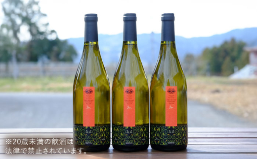 ワイン 奥出雲葡萄園 杜のワイン白　3本セット 国産 ワイン セット 白ワイン 3本 3本セット 詰め合わせ 飲み比べ セット まとめ買い お酒 酒 アルコール 日本ワイン 国産ワイン 地ワイン 75