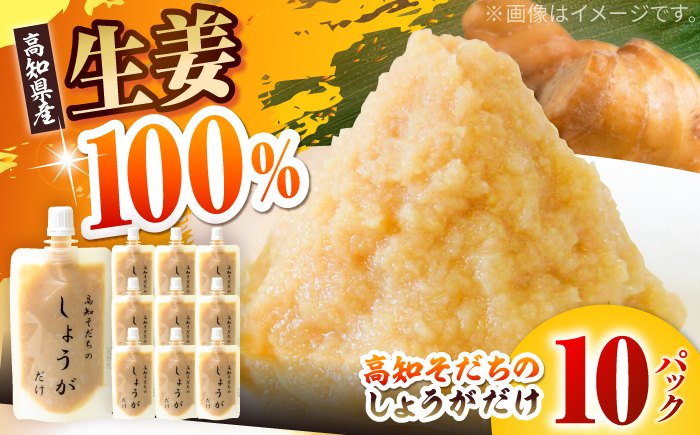 高知そだちのしょうがだけ 約50g×10パック 【Japan Ginger 株式会社】 しょうが ショウガ 生姜 国産 高知 調味料 無添加 食品添加物不使用 パウチ [ATFD004]