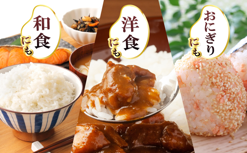 【数量限定】令和7年産 新米 つきあかり 10kg【5kg×2 泉佐野市産 お米 おこめ 白米 精米 家計応援】 G3538