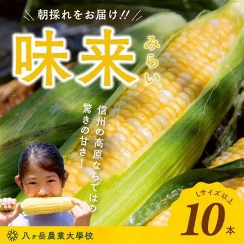 【2026年先行予約】朝採れ直送 フルーツのような甘さ『皮付き』生とうもろこし10本【配送不可地域：離島】【1643138】