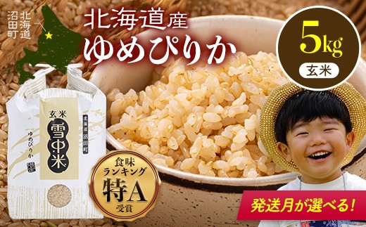 
            【先行予約】令和7年産 特Aランク米 ゆめぴりか 玄米 5kg（5kg×1袋）発送月が選べる 雪冷気 籾貯蔵 雪中米 北海道 nr-0466var
          