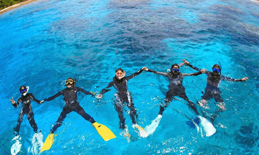 【ふるさと納税】 シュノーケリング 1名様分 ARK Diving Shop 串本店　世界最北端のサンゴ礁を見に行こう！