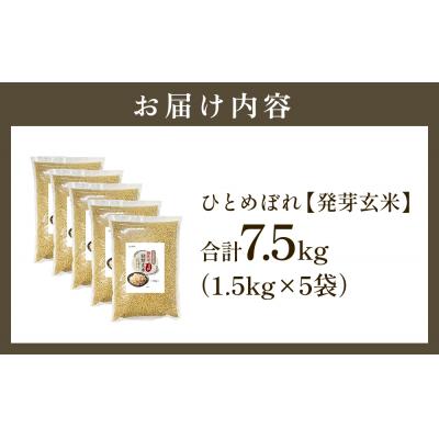 ふるさと納税 玖珠町 【先行受付】特Aひとめぼれ米 残留農薬ゼロ 発芽玄米 1.5kg×5袋(7.5kg) 令和7年産 |  | 02