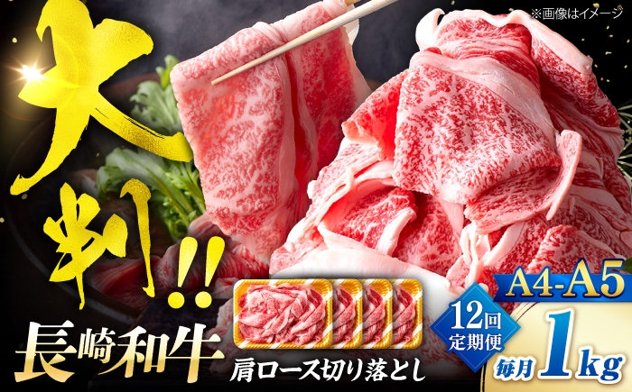 
                  【12回定期便】艶さし！【A4～A5】長崎和牛大判霜降り贅沢切り落とし 計1kg（250g×4パック）＜株式会社MEAT PLUS＞ [CFT081]
                