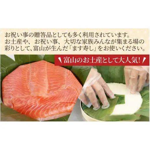冷凍ます寿し1段【本州のみ発送】 | 鱒 マス 寿司 鮨 すし ますずし 真空パック 310g
