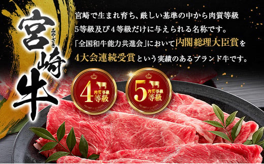 宮崎牛 ビーフジャーキー 10袋 (30g×10袋) おつまみ 宮崎県産