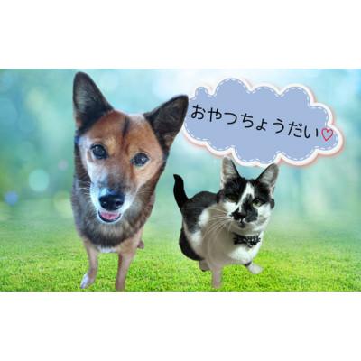ふるさと納税 安芸市 シカ肉ジャーキー　いぬ&ねこ用おやつ(5袋入り) |  | 02
